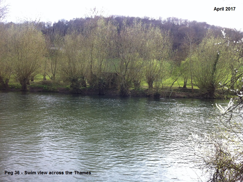 SWIM BANK VIEW